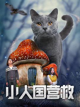 八月丁香婷婷