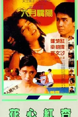 欧美激情视频网