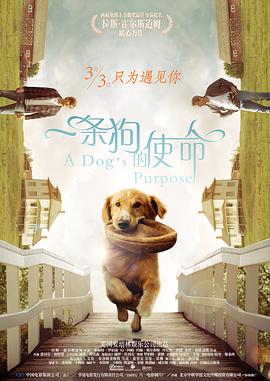 观测人