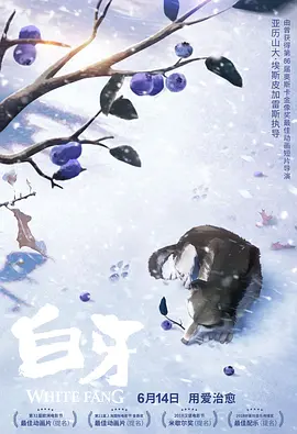 亚洲网友自拍