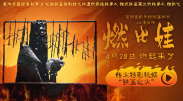 欧美一级特黄乱妇高清视频