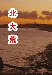 退休的地方