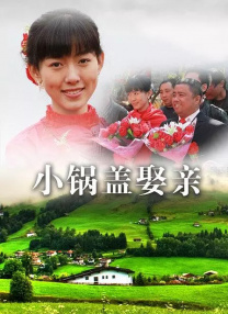 国产成人免费高清激情视频
