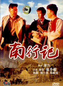 郁金香热