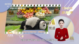 蝴蝶舞